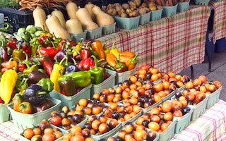 Farmer's Markets